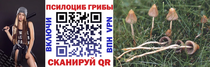 Галлюциногенные грибы мицелий  цена   Железноводск 